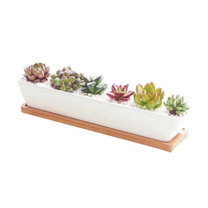 Wild Wood Mini Long Pots - Pots & Planters - Luxus Heim