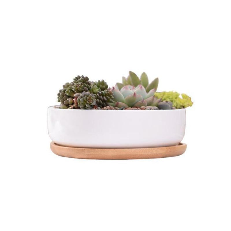 Wild Wood Mini Round Pot - Pots & Planters - Luxus Heim