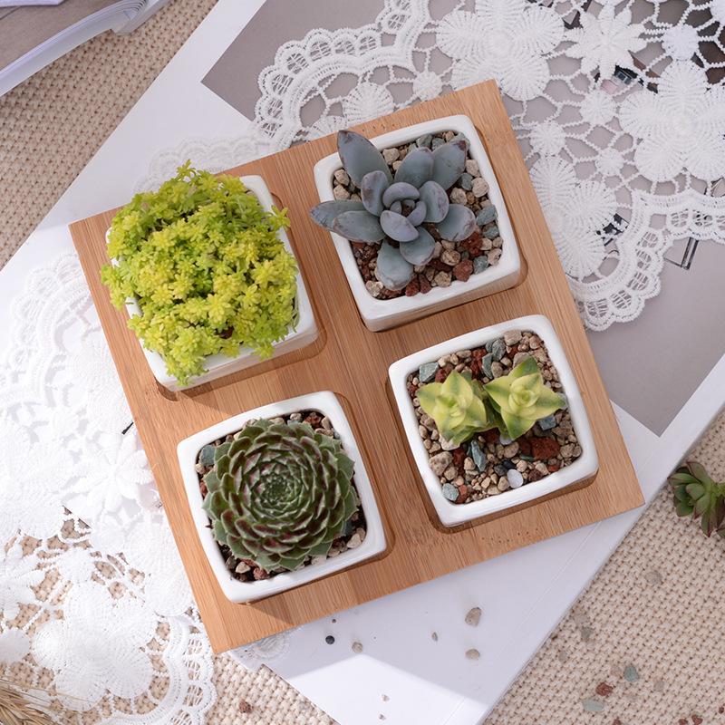 Wild Wood Mini Square Pots - Pots & Planters - Luxus Heim