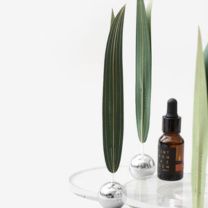 Wind Dance Grass Oil Diffuser - Home Fragrance Accessories - Luxus Heim