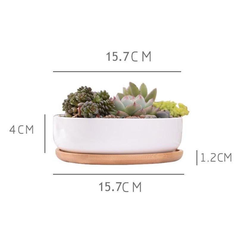 Wild Wood Mini Round Pot - Pots & Planters - Luxus Heim