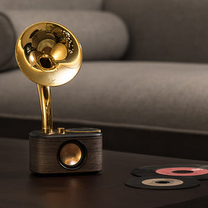 Chopin Radio & Bluetooth Speaker with Wooden Design