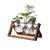 Lvdia Hydroponic Planter - Pots & Planters - Luxus Heim