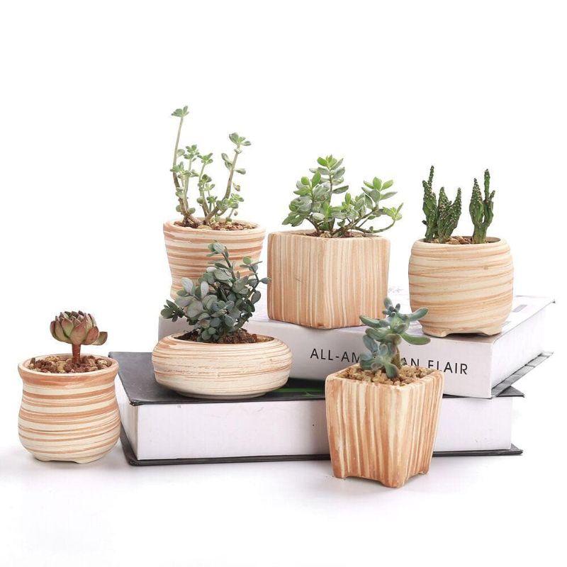 Mini Striped Succulent Flower Pots - Pots &amp; Planters - Luxus Heim