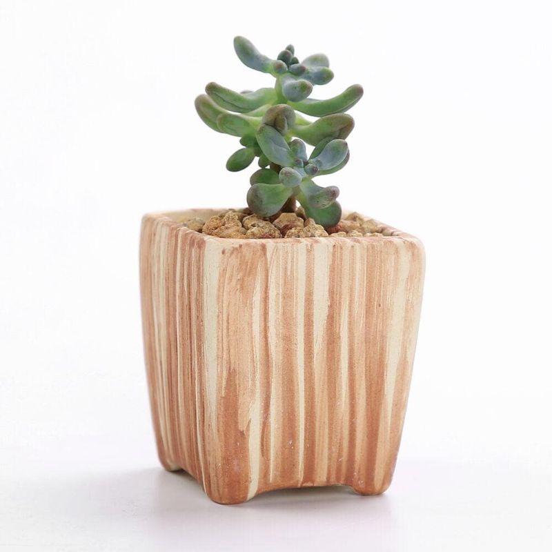 Mini Striped Succulent Flower Pots - Pots & Planters - Luxus Heim