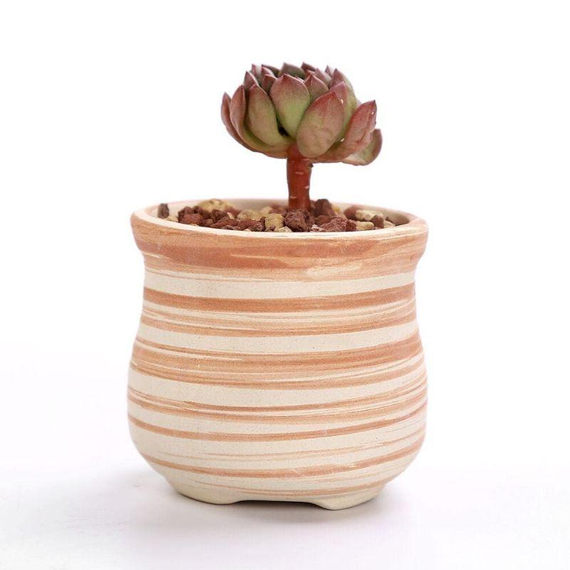 Mini Striped Succulent Flower Pots - Pots & Planters - Luxus Heim