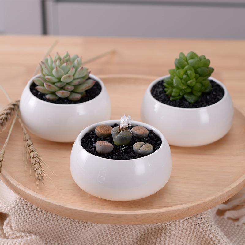 Wild Wood Planter Pots with Bamboo Stand - Pots & Planters - Luxus Heim