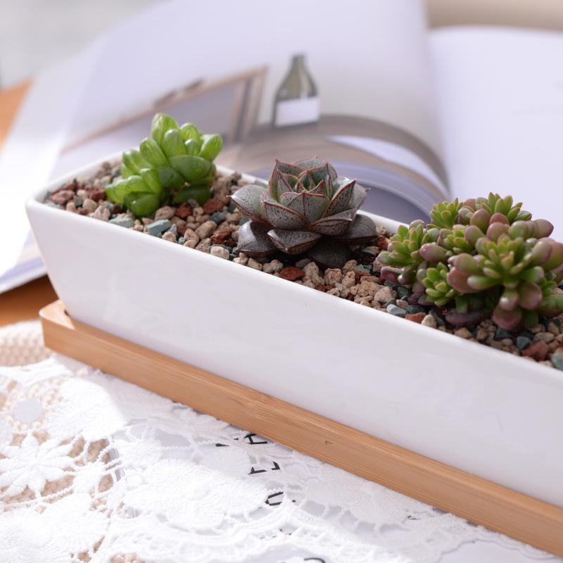 Wild Wood Mini Long Pots - Pots & Planters - Luxus Heim