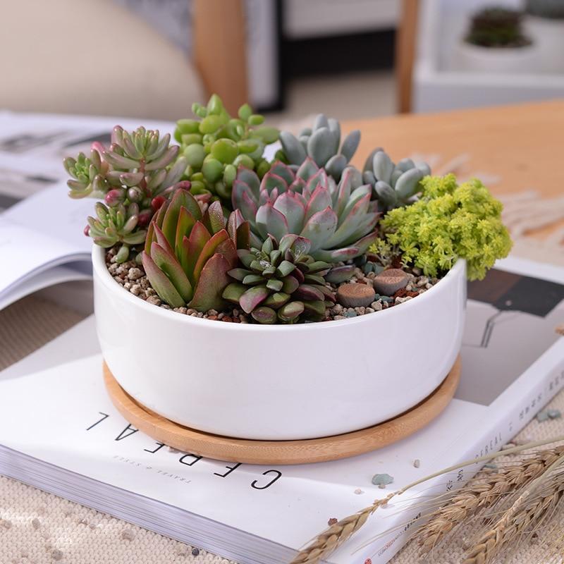 Wild Wood Mini Round Pot - Pots &amp; Planters - Luxus Heim