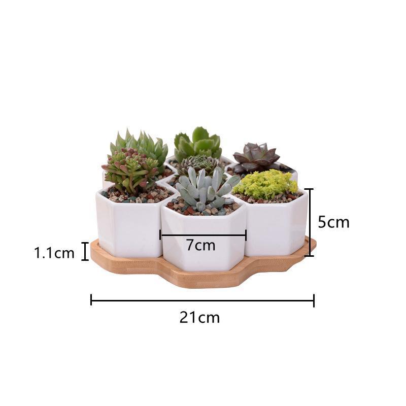 Wild Wood Mini Hexagon Pots - Pots & Planters - Luxus Heim