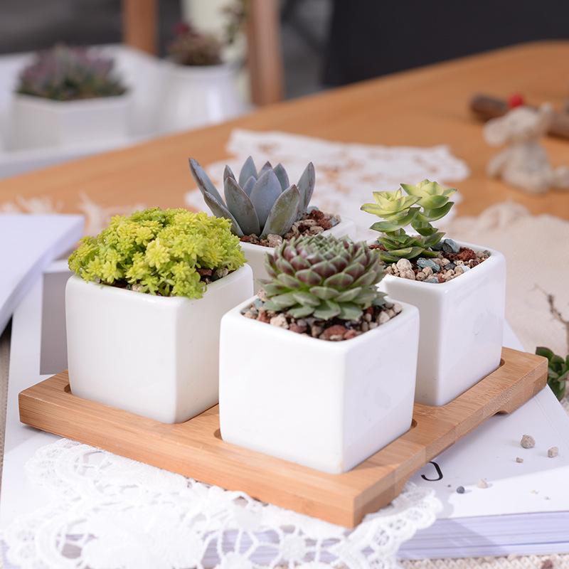 Wild Wood Mini Square Pots - Pots & Planters - Luxus Heim