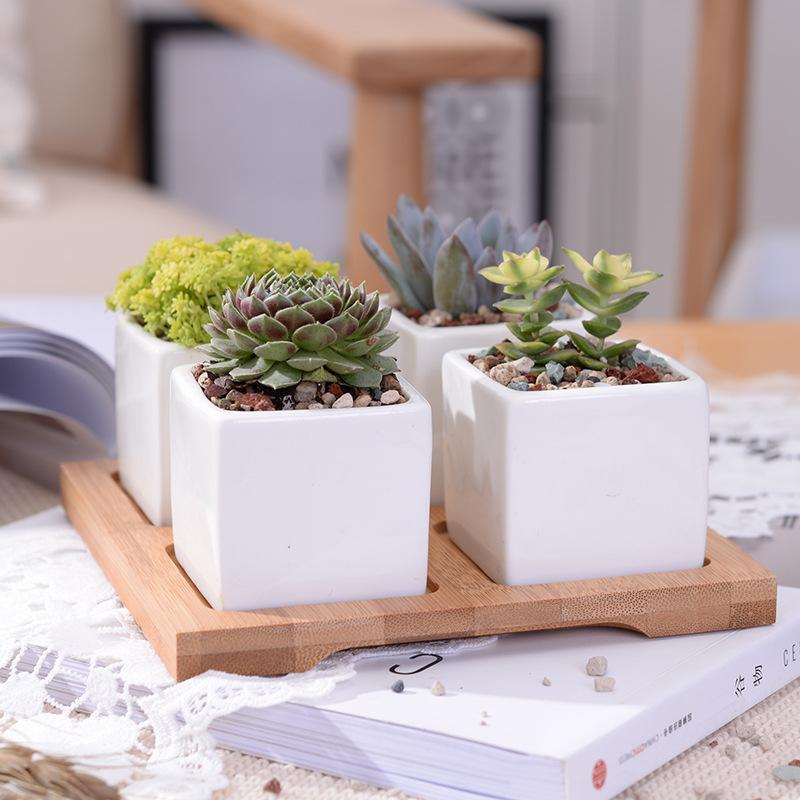 Wild Wood Mini Square Pots - Pots & Planters - Luxus Heim