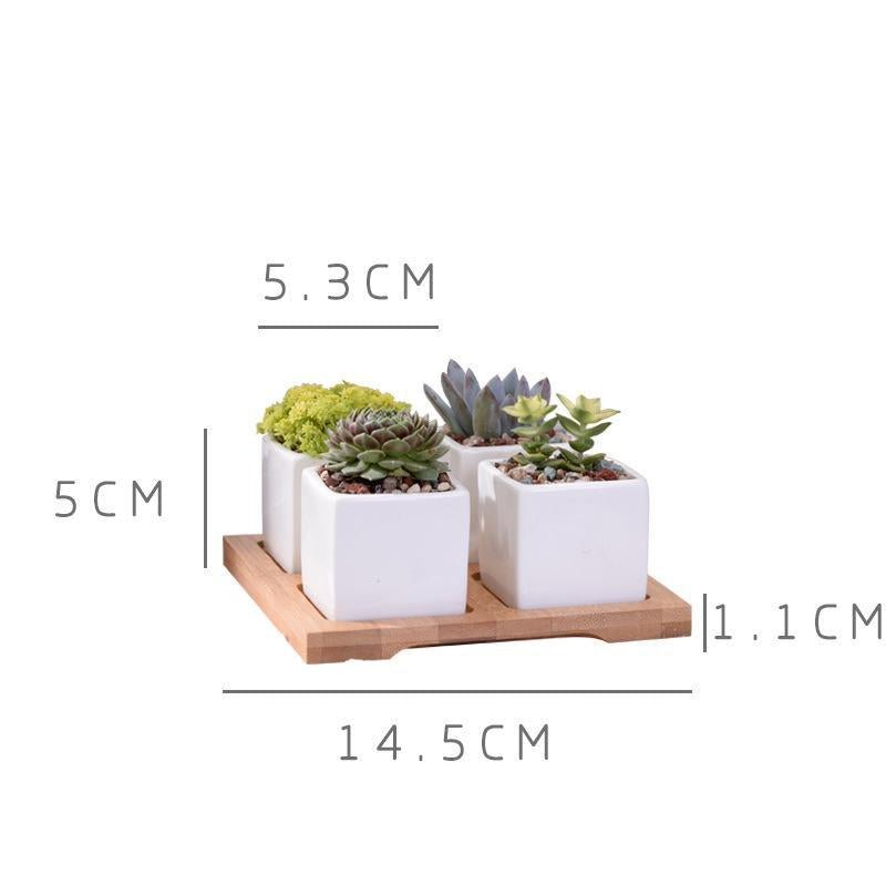 Wild Wood Mini Square Pots - Pots & Planters - Luxus Heim