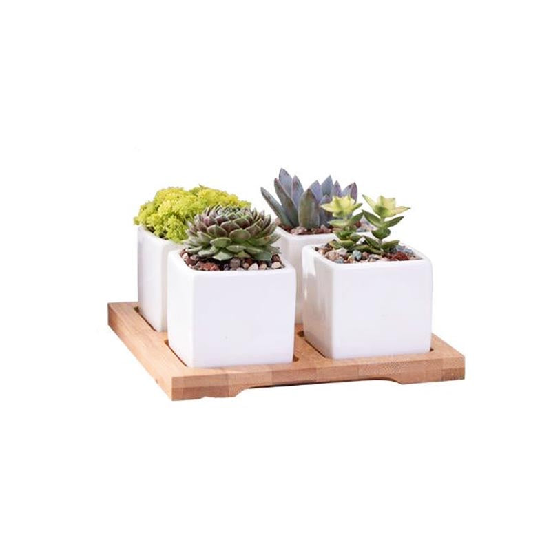 Wild Wood Mini Square Pots - Pots & Planters - Luxus Heim