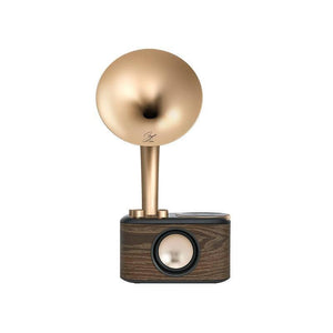 Chopin Radio & Bluetooth Speaker with Wooden Design