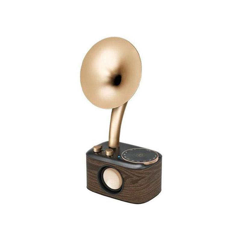 Chopin Radio & Bluetooth Speaker with Wooden Design