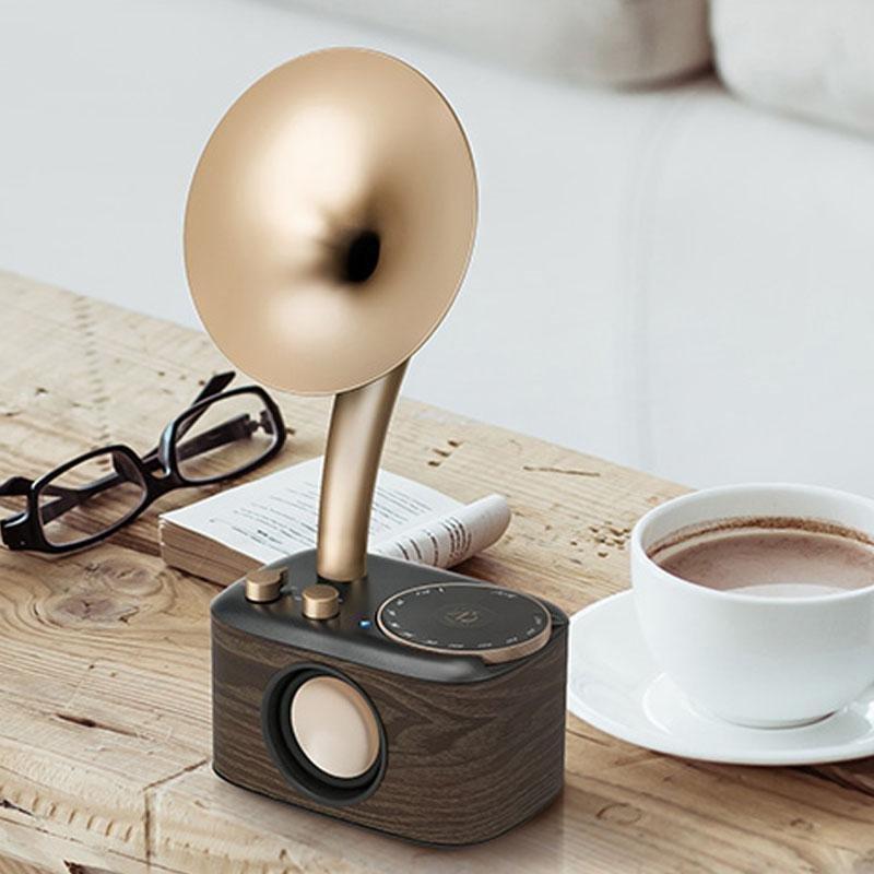 Chopin Radio & Bluetooth Speaker with Wooden Design