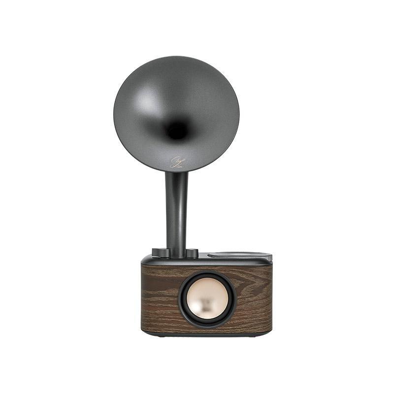 Chopin Radio & Bluetooth Speaker with Wooden Design