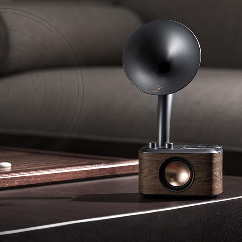 Chopin Radio & Bluetooth Speaker with Wooden Design